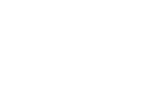 No Heavy Metals